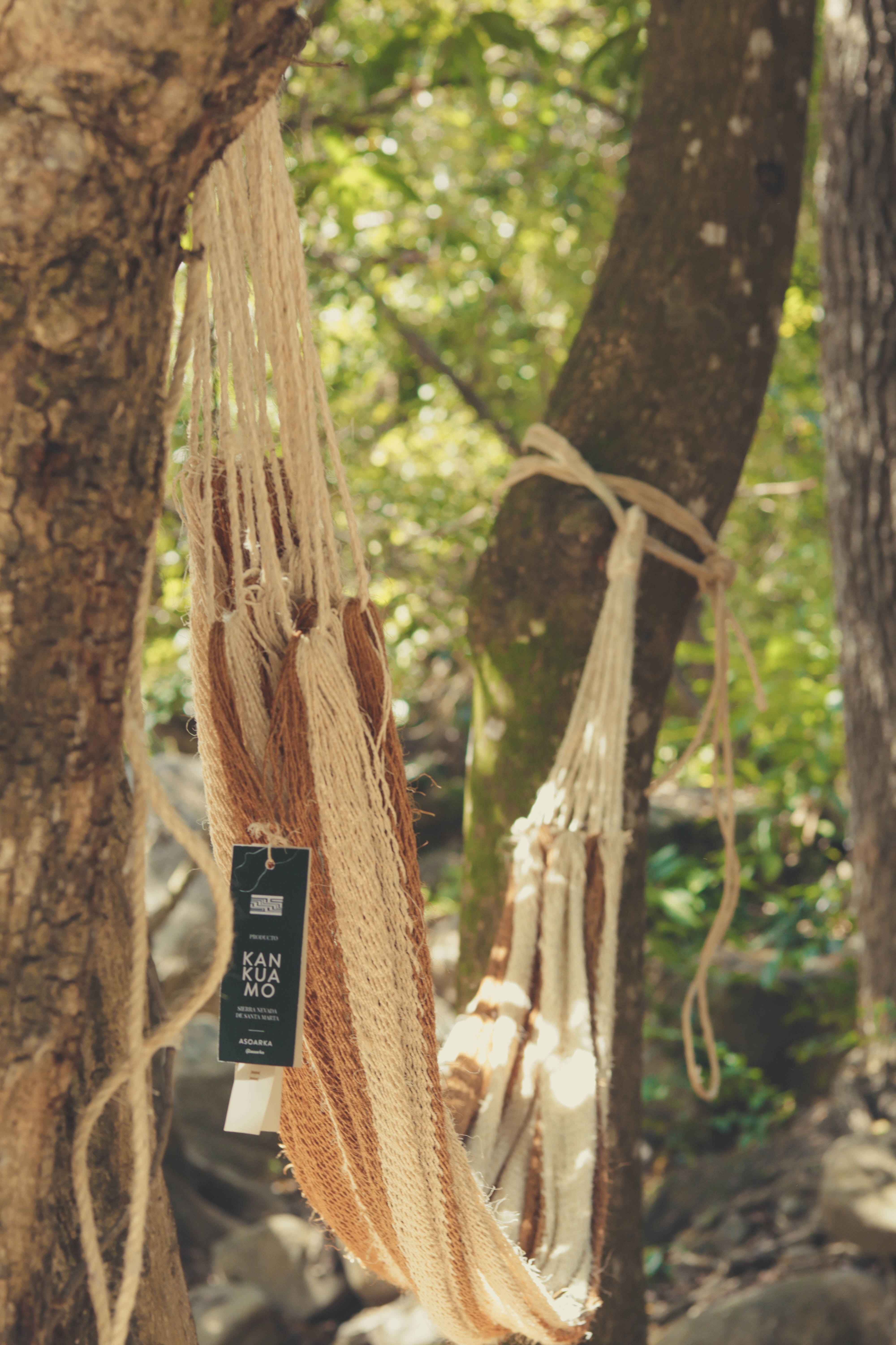 Chinchorro Tradicional